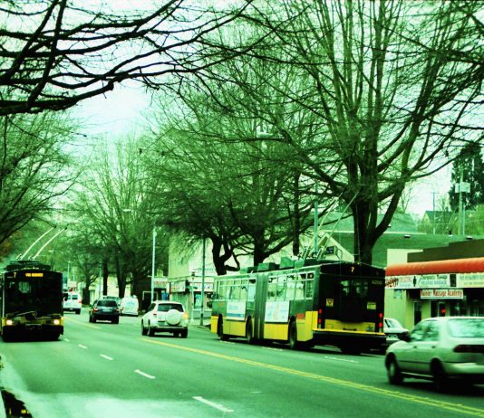 Book Launch at the Art Show: October 13