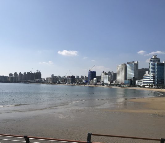 What We’re Reading: Give Them Stairs, Great American Divide, and Student Debt