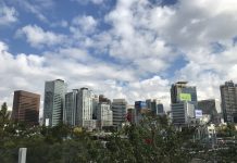 What We’re Reading: Mass Extinction, NRA Defeated, and Not Ripe