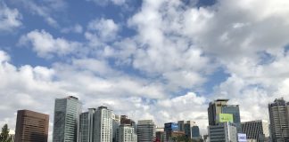 What We’re Reading: Mass Extinction, NRA Defeated, and Not Ripe