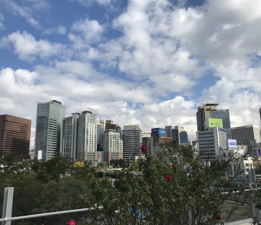 What We’re Reading: Mass Extinction, NRA Defeated, and Not Ripe