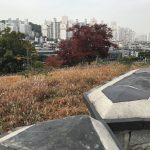 AD863DD9-55C5-407E-B4C7-D6040D4FE8A2