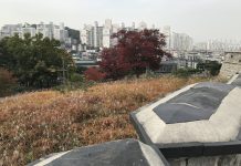 What We’re Reading: Buyer’s Market, Still On Track, and Green New Deal