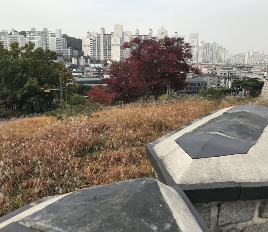 What We’re Reading: Buyer’s Market, Still On Track, and Green New Deal