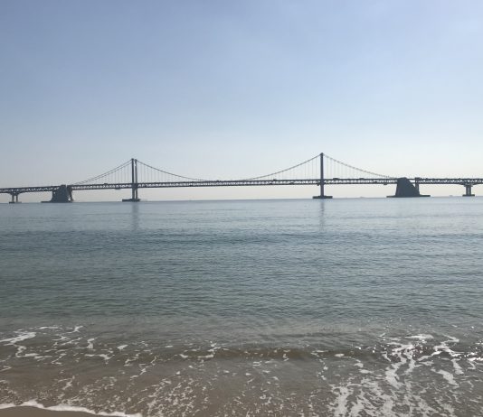 What We’re Reading: New Fast Ferry, Poaching Riders, and Parking E-Scooters