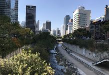 What We’re Reading: Paris Accord Stands, Shining Stars, and Saving Cougar Mountain