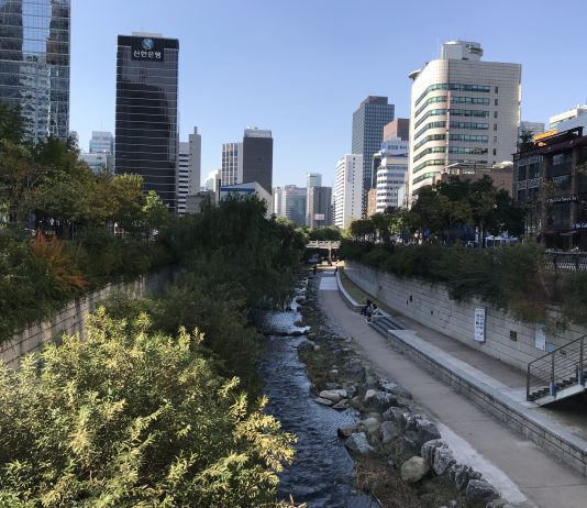 What We’re Reading: Paris Accord Stands, Shining Stars, and Saving Cougar Mountain