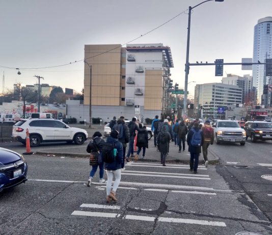 As Vehicle Volumes Flatten, Pedestrian Collisions Continue to Rise