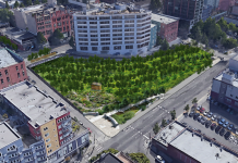Visions of a Green Future for Battery Street