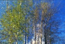 What We Have to Give