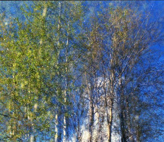 What We Have to Give