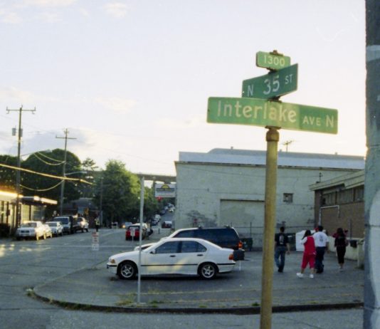 Lost in the Greenwoods