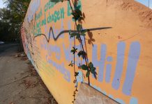 Wonkabout Washington: Preserving Ferry County Agricultural Land and Community Planning with Youth in Skyway