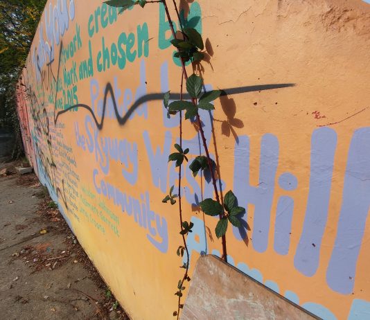 Wonkabout Washington: Preserving Ferry County Agricultural Land and Community Planning with Youth in Skyway