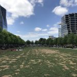 331915D3-EECE-444C-909B-6F965F5A604A