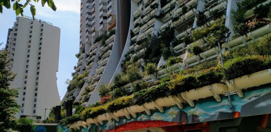 Vienna social housing towers with greenery hanging from balconies.