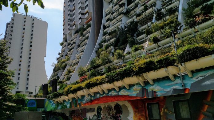 Vienna social housing towers with greenery hanging from balconies.
