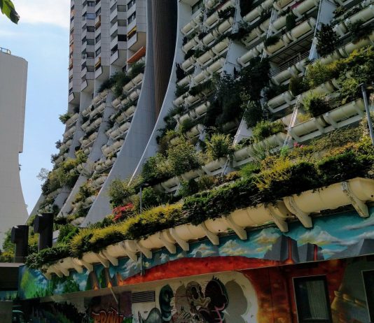Social Housing Now: Washington State Should  Build 100,000 Homes Vienna social housing towers with greenery hanging from balconies.