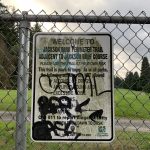 QNowvXx4QSCrez8pWMVVFA