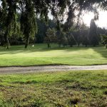 XiyiHF6CSSaxMxDPP2kOmA