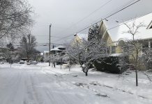 What We’re Reading: Green New Deal, Not So Fast, and Transit Poachers