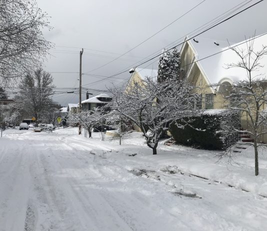 What We’re Reading: Green New Deal, Not So Fast, and Transit Poachers