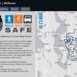 bvzap-crashmap