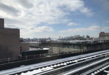 What We’re Reading: Jay Is In, Bark Parks, and Saving New York Transit