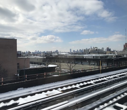 What We’re Reading: Jay Is In, Bark Parks, and Saving New York Transit