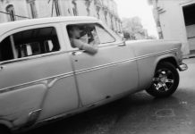 Sustenance (in White Center)