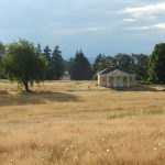 6263028274_ca0e96eaec_o