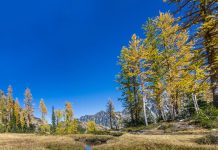 Wonkabout Washington: Waterways and Skyway