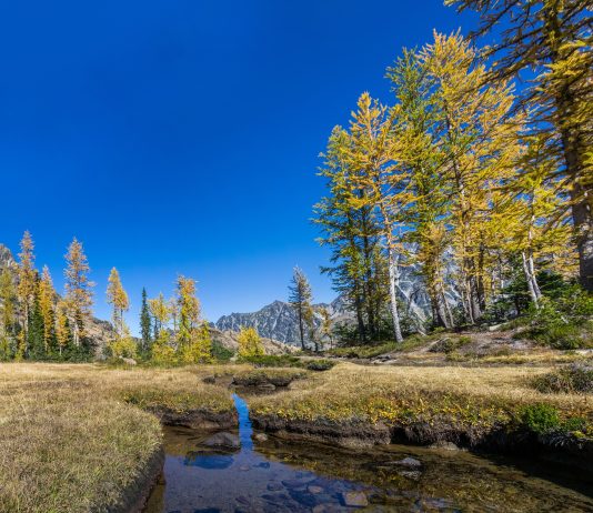 Wonkabout Washington: Waterways and Skyway