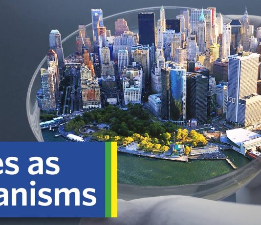 Sunday Video: Are Cities Like Organisms?