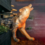 Screen Shot 2019-06-20 at 3.42.07 PM