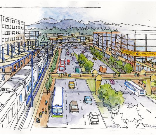 Guide Light Rail Subarea Planning in Unincorporated Snohomish County