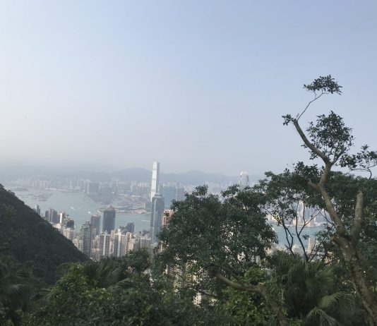 What We’re Reading: HQ2 B’vue, YIMBY Bill Passes, and Fly Less