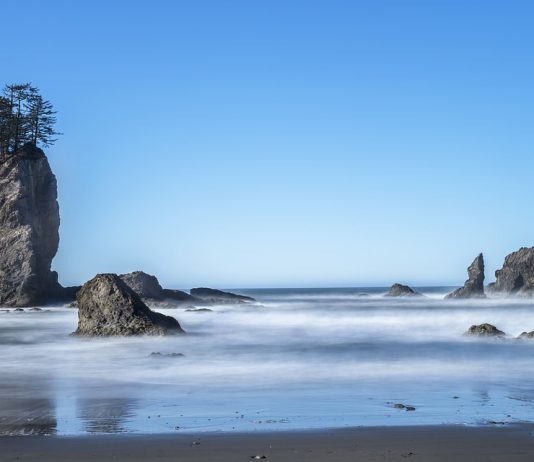 Wonkabout Washington: Road Map Report Back