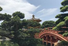 What We’re Reading: Parisian Veloism, Bus Only, and Drinking Water Woes