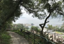 What We’re Reading: Post Car Future, Rail First, and Dystopian Car Visions