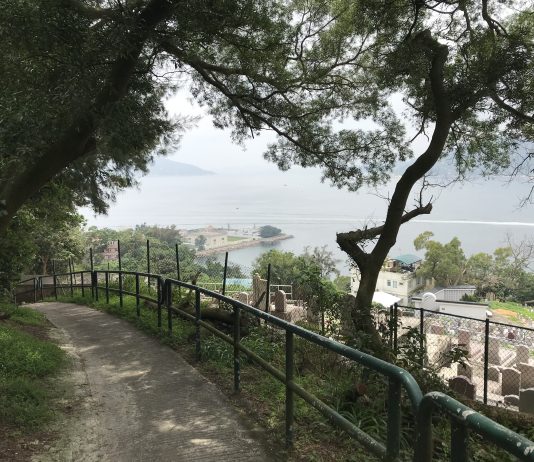 What We’re Reading: Post Car Future, Rail First, and Dystopian Car Visions