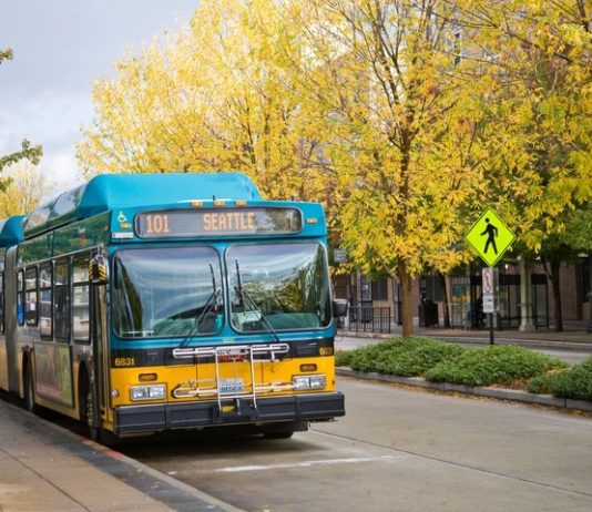 Thank You, 2019 Subscribers!