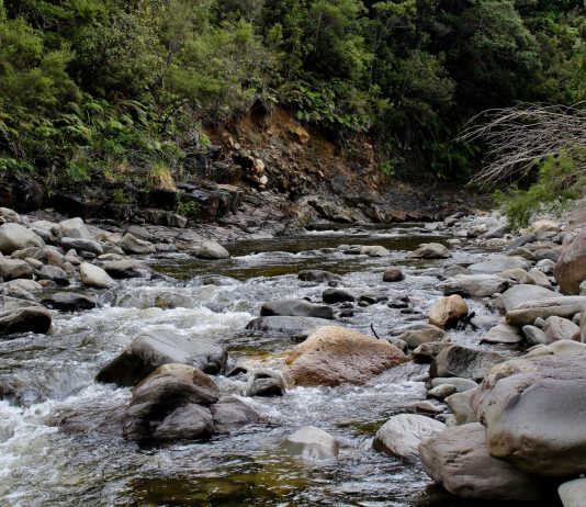 Wonkabout Washington: Equity in SEPA Reform, Improving Watersheds in Port Angeles