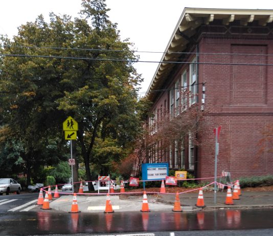 Council Tackles the Right to Sidewalk Access