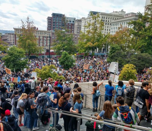 What We’re Reading: End of an Era, Bus Stop Signs, and We’re Killing Avians