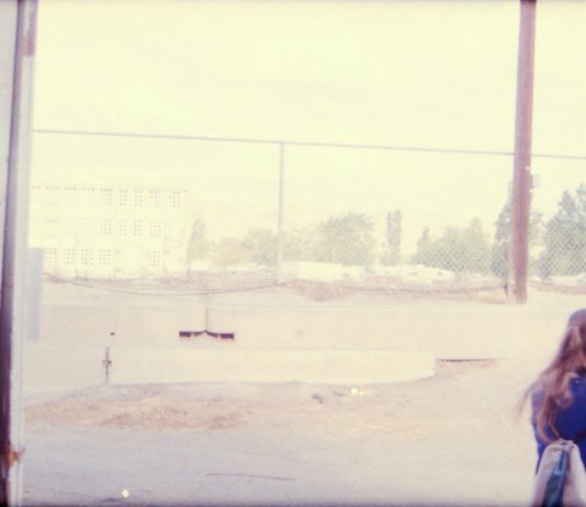 A Bus Driver Kind of Mind