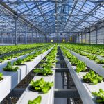 Farmatronix Greenhouse