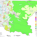 Future Land Use Map