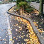 IMG_20191022_140957067_HDR