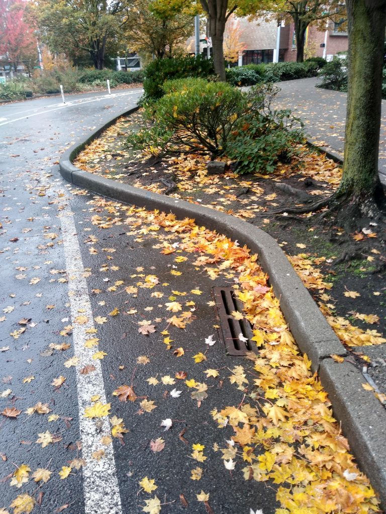 People riding bikes will be directed onto the sidewalk to cross Denny Way. (Photo by the author)